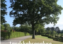 Skovvejen Kirkegård -Landskabsanalyse - En stor kirkegård med mange muligheder.